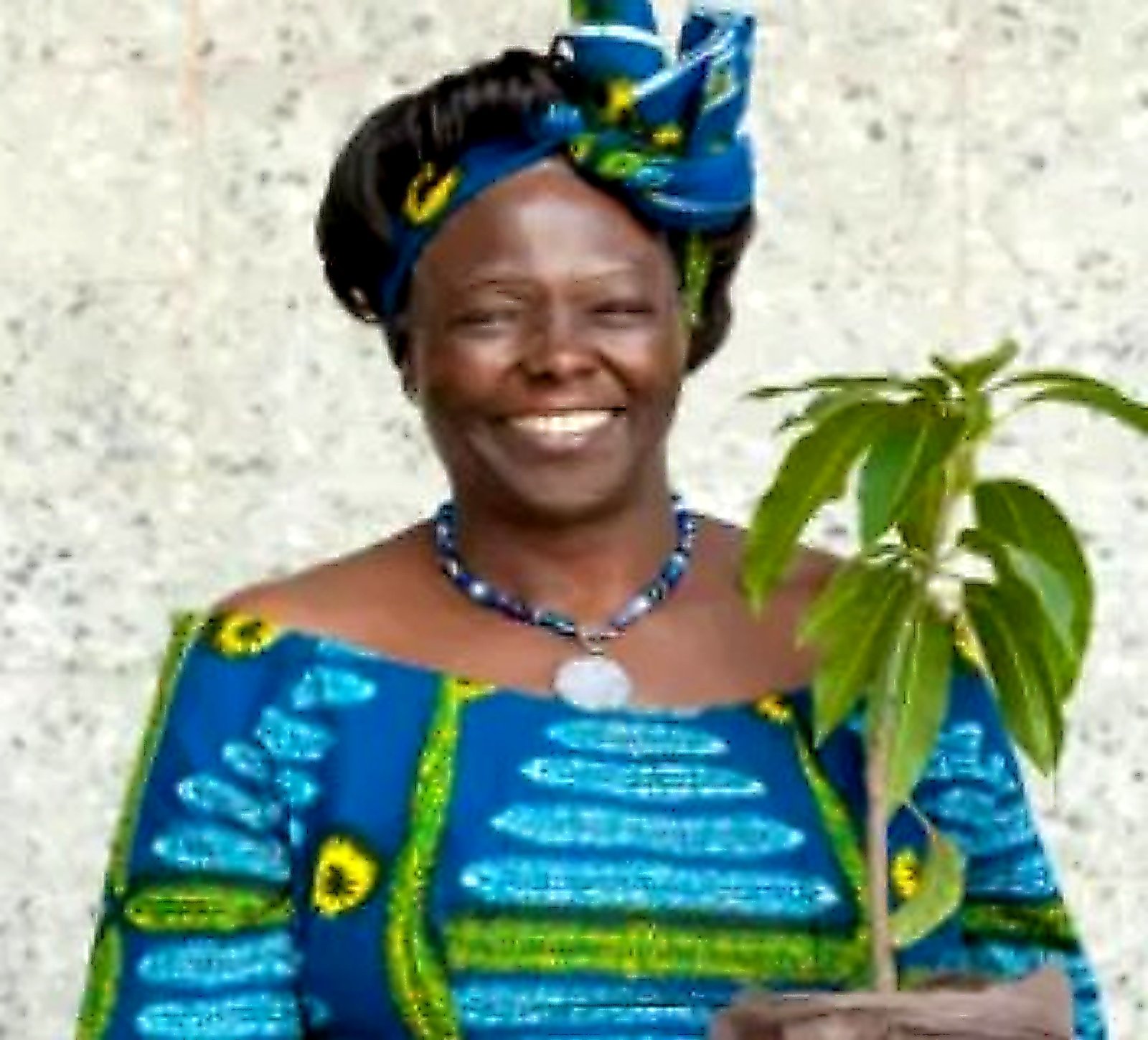 Wangari Maathai — Prix Nobel de la Paix 2004